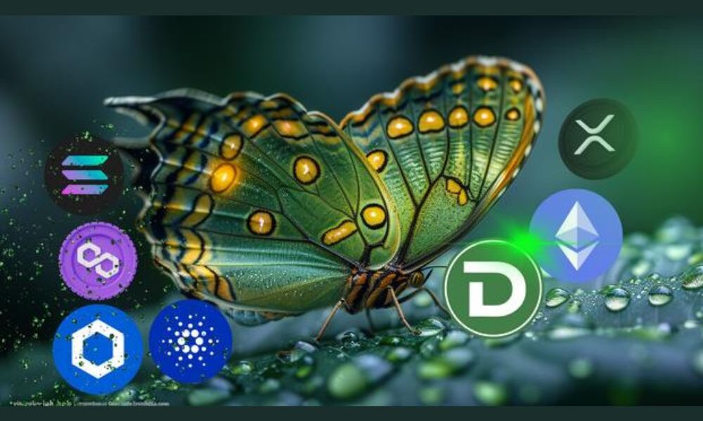 From New Entrant to DeFi Star: DTX Exchange Positions as Competitor to Binance Coin (BNB) and Ripple (XRP) with 100x Upside