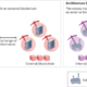 Blockchain technology for mobile multi-robot systems