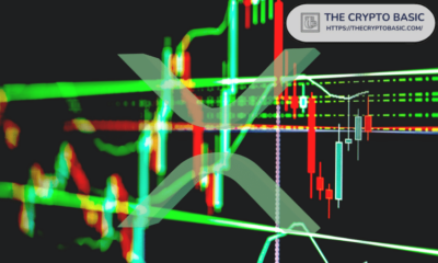 Market Analyst Identifies Crucial XRP Targets as RSI Hits All-Time Low