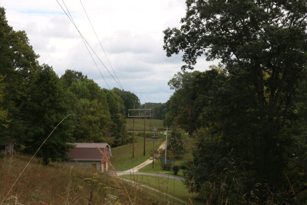 Power lines cross Brenda Campbell's property in the Wolfe County woods.