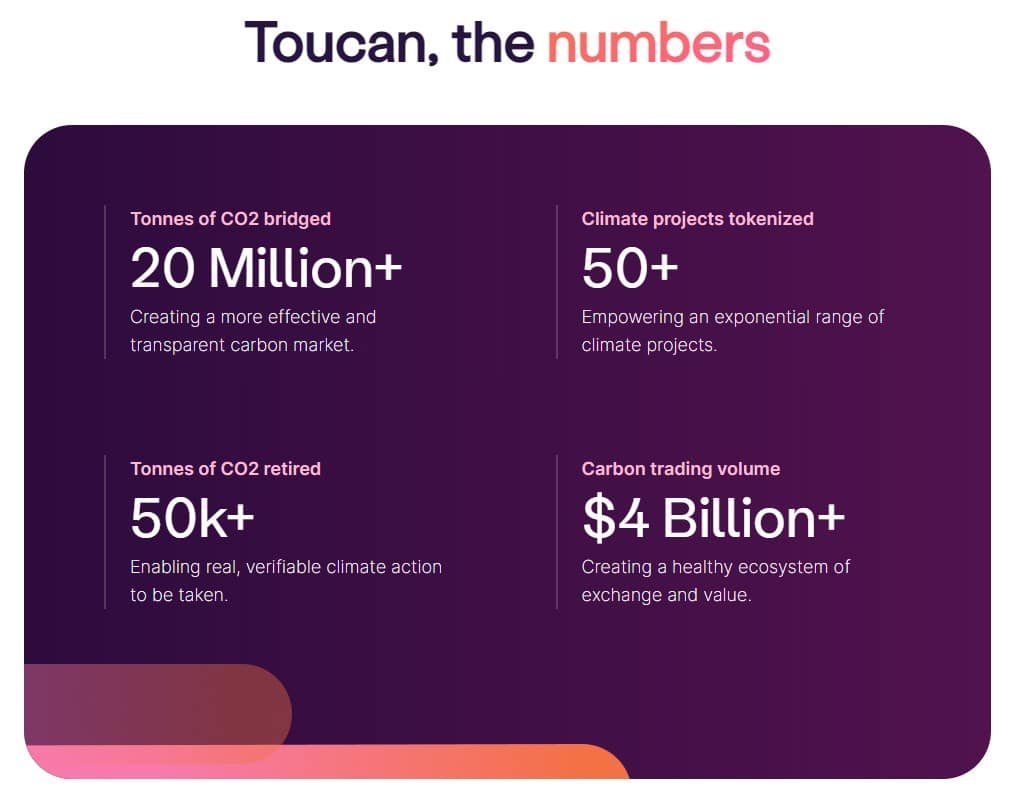 toucans in numbers