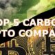 Top 5 Carbon Crypto Companies to Watch in 2024