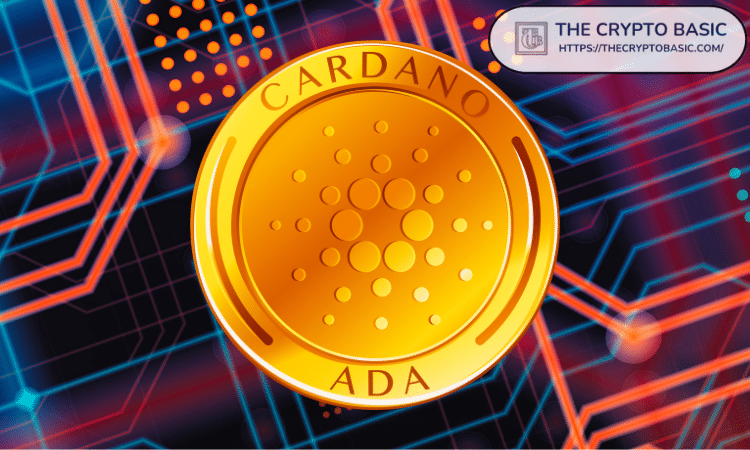 ADA Trading Volume Reaches $300 Million, What Happens Next?