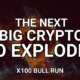 The Next Big Cryptocurrency to Explode in 2024 [x100 Bull Run]