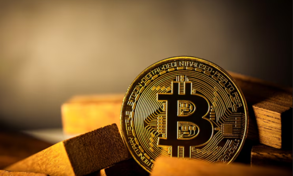 67% of crypto users think Bitcoin will rise 80% by the end of 2024: report