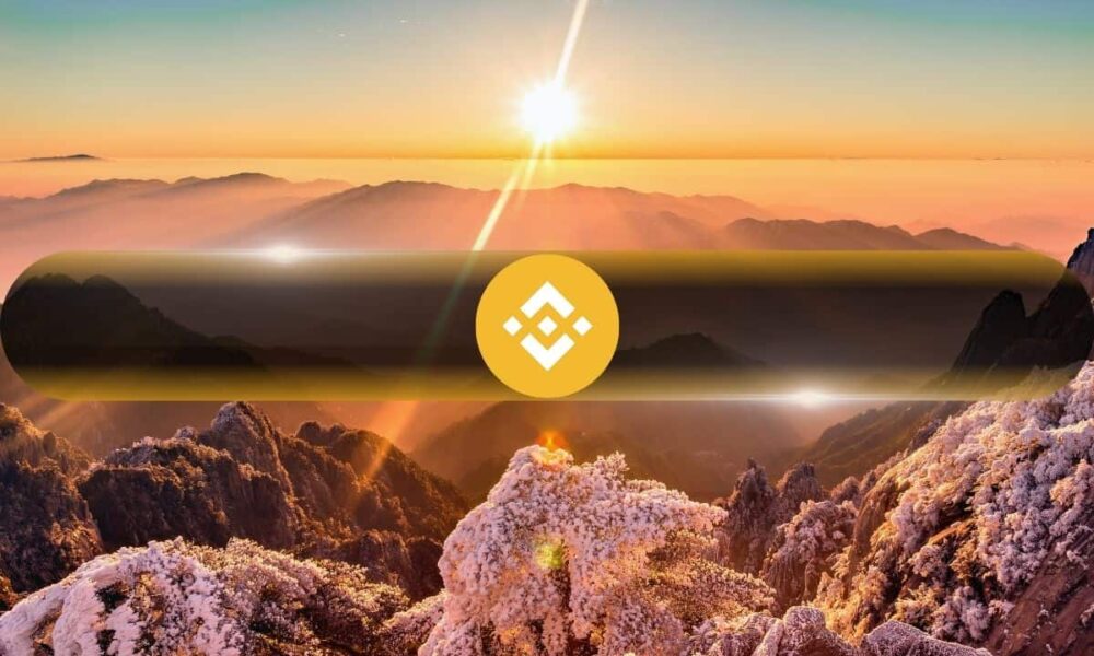 Binance Coin (BNB) hits new all-time high, market cap higher than UBS and Starbucks