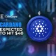 Cardano Price Expected To Hit $40 Next Per Crypto Analysts