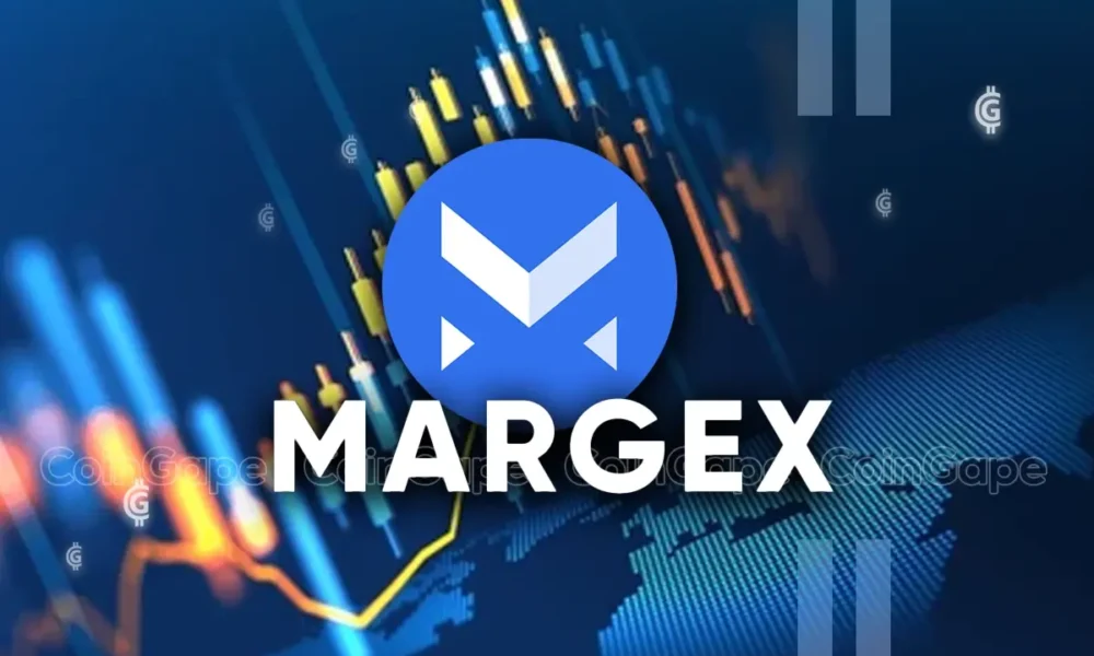 Crypto Market Users Explore Copy Trading Platform Margex;  Here's why !