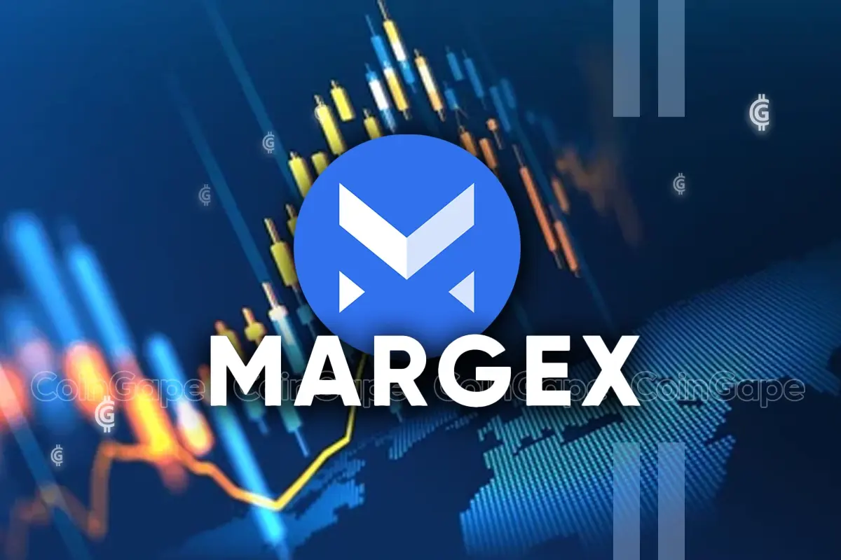 Crypto Market Users Explore Copy Trading Platform Margex;  Here's why !