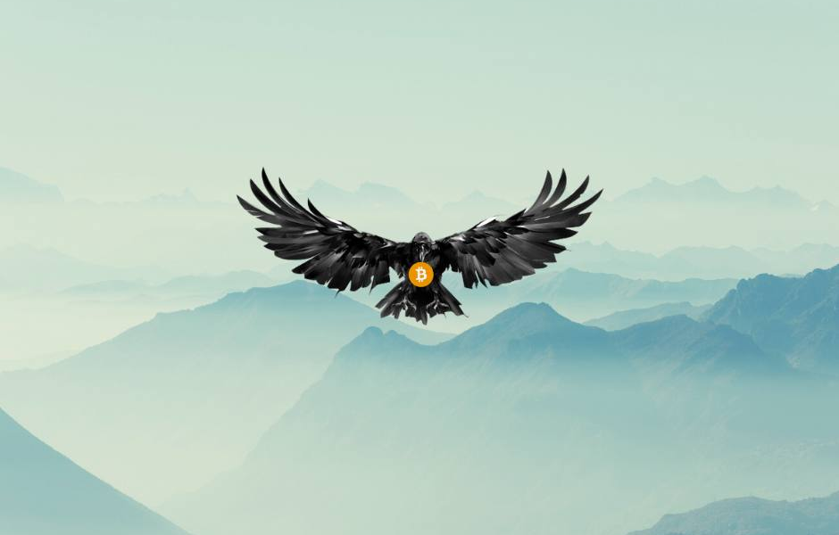 Crypto Raven strives to provide unparalleled services as a leading crypto influencer and industry leader