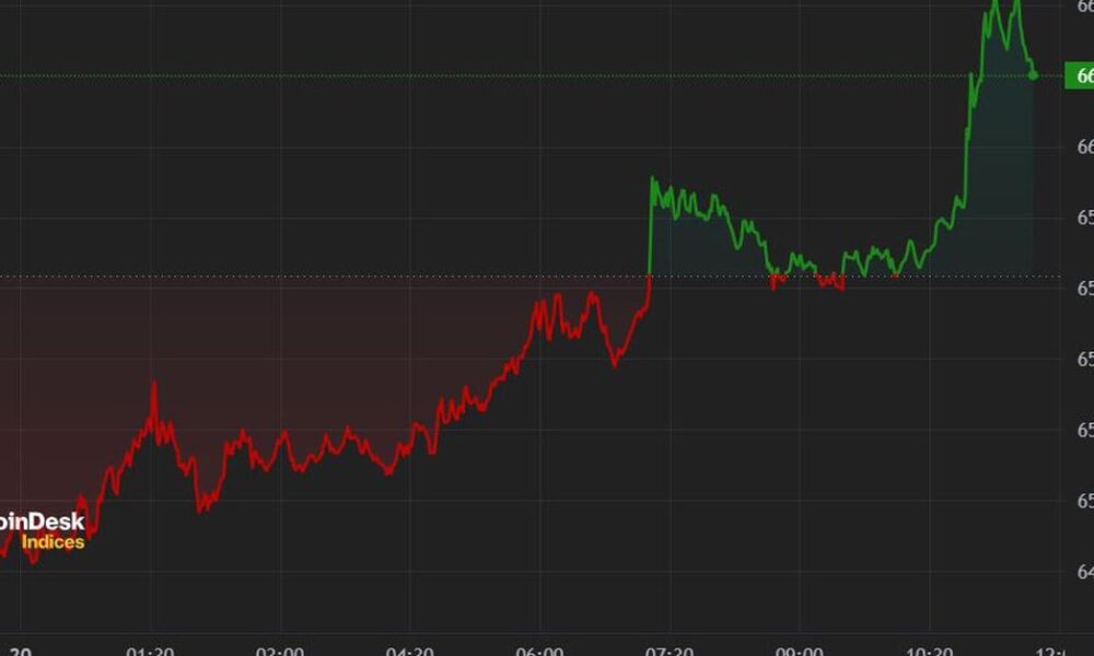 Crypto assets rally as BTC returns to $66,000