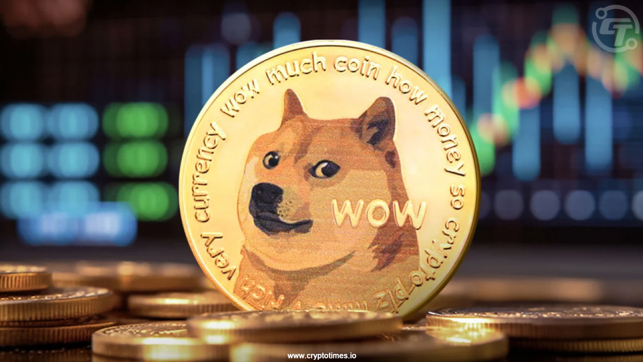 Dogecoin developer warns against crypto gambling