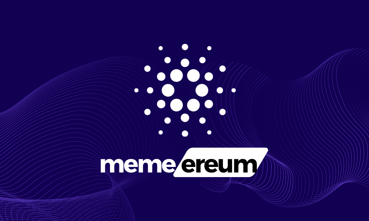 Memereum Presale: New Wave of Crypto Opportunities Providing Investors Access to DeFi Innovation – Bitcoin News Press Release