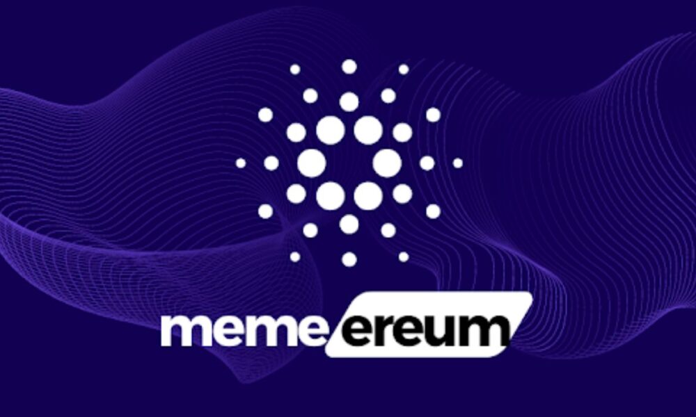 Memereum Stands Out in the Rapidly Changing World of DeFi