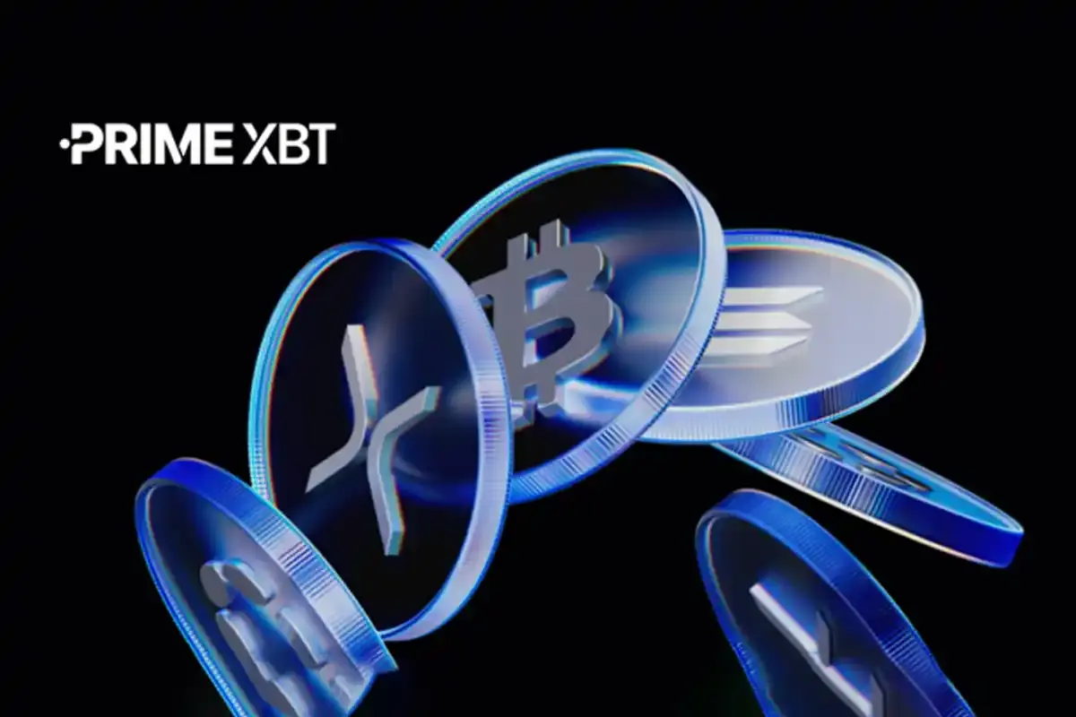 PrimeXBT Information: Current Top Cryptocurrency Market Trends