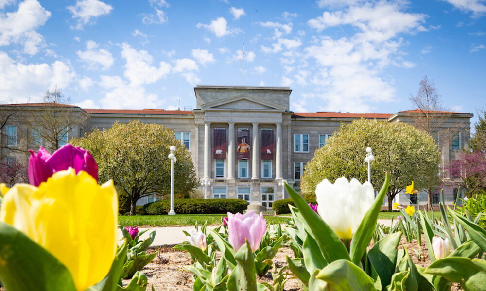 Looking towards Carrington Hall through multi-colored tulips.