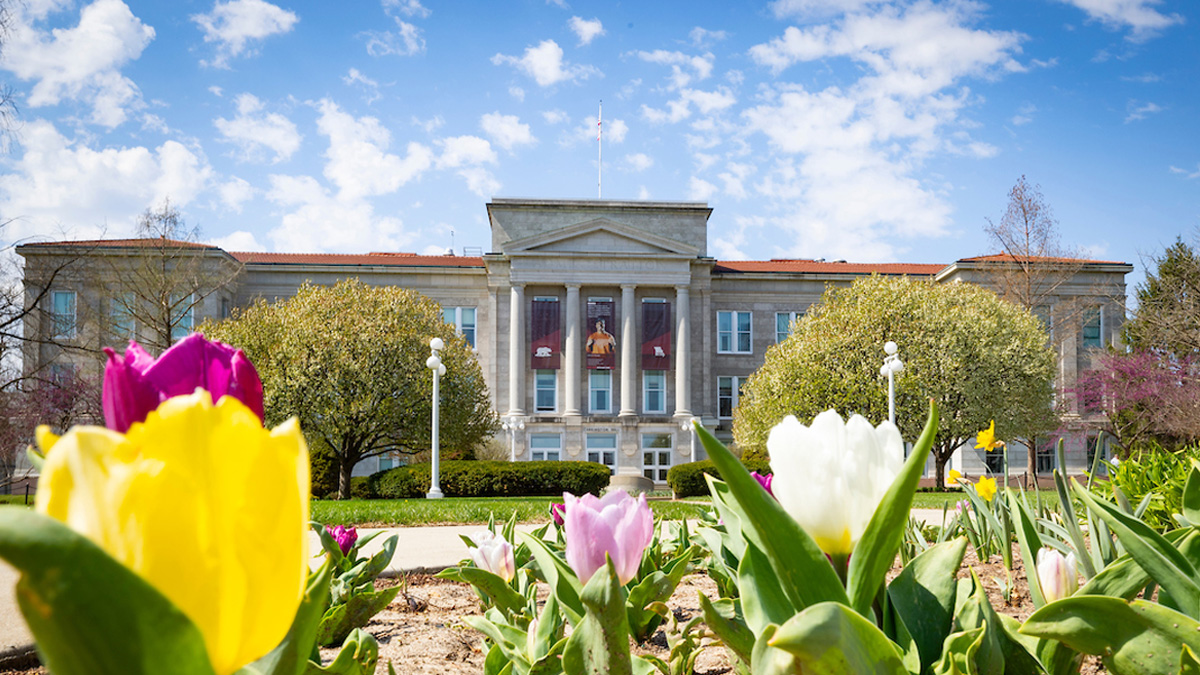 Looking towards Carrington Hall through multi-colored tulips.