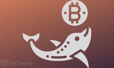 Whale Investments in Bitcoin Hit $100 Billion in 2024, Fueling Insane Investor Optimism ⋆ ZyCrypto