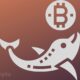 Whale Investments in Bitcoin Hit $100 Billion in 2024, Fueling Insane Investor Optimism ⋆ ZyCrypto