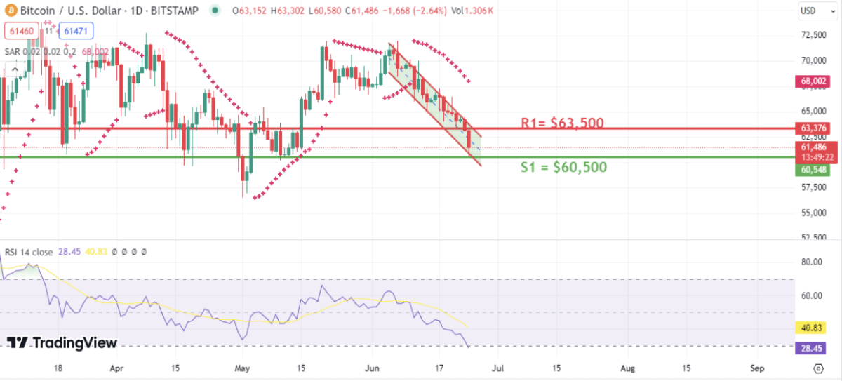 Bitcoin Price Crashes to $62,000 as Whale Transactions Drop to Eight-Month Low