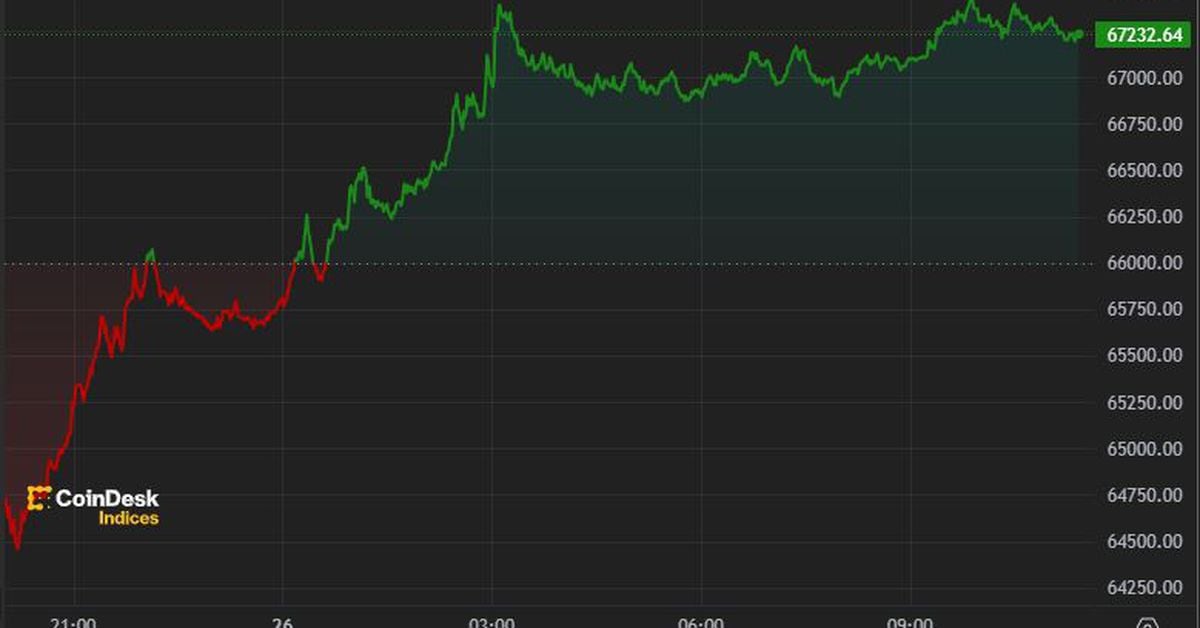 Bitcoin Recovers $67,000, Gains Nearly 5% in 24 Hours