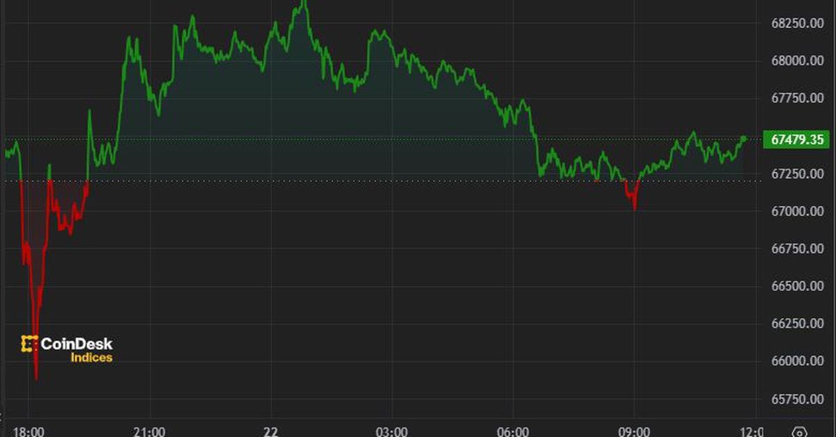 Bitcoin Stabilizes Above $67,000 After Biden Withdrawal