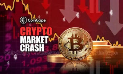 Cryptocurrency Market Crash Hints at Unexpected Twist as Bitcoin Hits New Lows