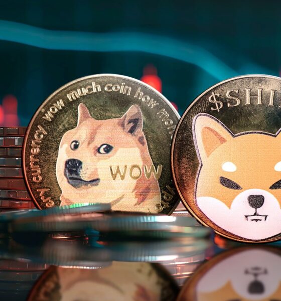 DOGE, SHIB Among Major Laggards as Crypto Market Remains in the Red