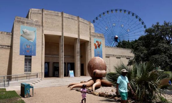 Fair Park First suspends fundraising until audit findings clarify park's finances