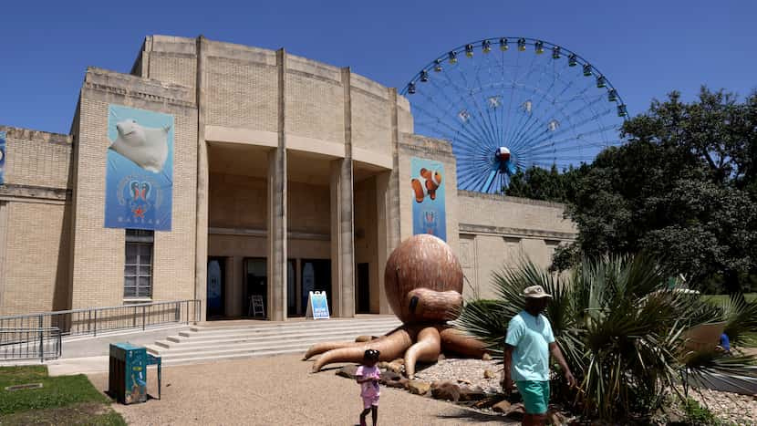 Fair Park First suspends fundraising until audit findings clarify park's finances