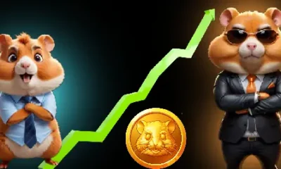 Hamster Kombat Token Soars 10,000%! Huge Opportunity!