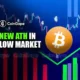 New ATHs in a Low Market: Here's the Crypto Defying the Crypto Market Crash