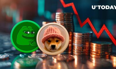 PEPE, Dogwifhat Post Significant Losses as Crypto Market Plunges: Details