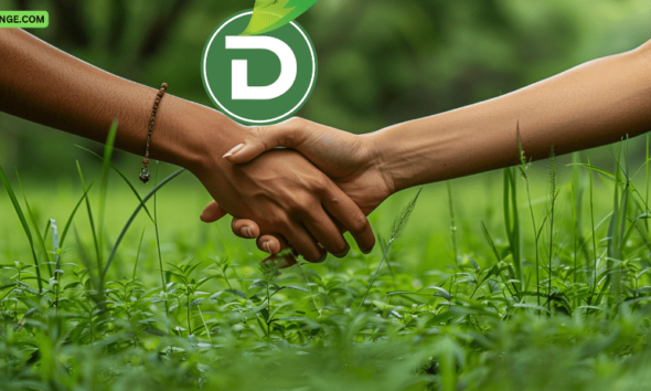 Pepe and Dogecoin Are Soaring; This New DeFi Token Is Exceeding Expectations and Getting Ready to Explode