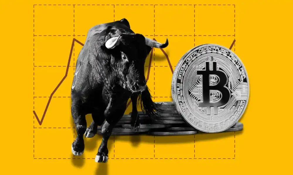 What Will Drive the Cryptocurrency Market Rally in 2024-2025?