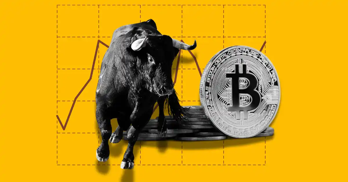What Will Drive the Cryptocurrency Market Rally in 2024-2025?
